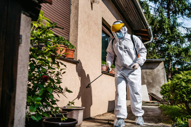 Best Pest Prevention Services  in Harleigh, PA