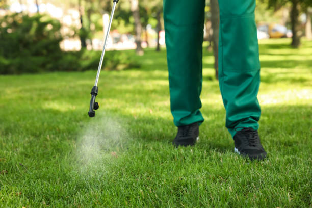 Best Best Pest Control Companies  in Harleigh, PA