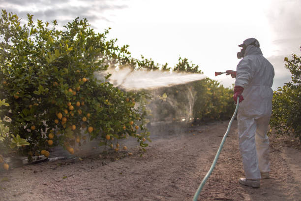 Professional Pest Control in Harleigh, PA
